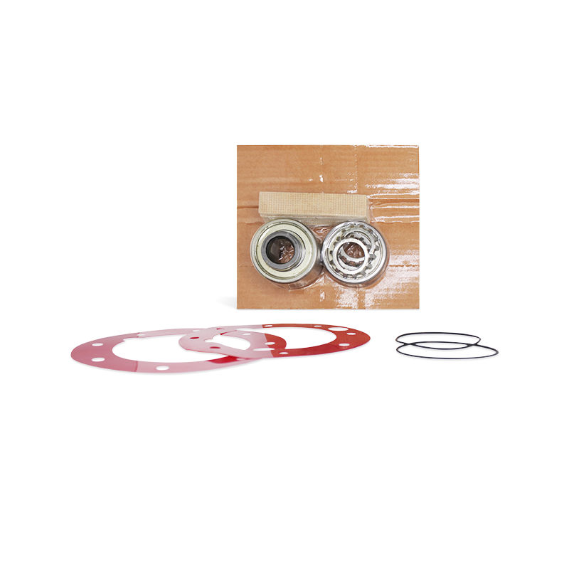 [K212] Kit de Reparación para Motor Neumático 16AM GAST K212