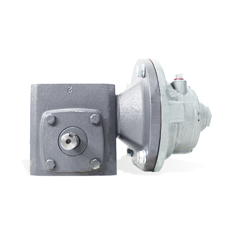 Motoreductor GAST 2AM-43A-AF20 