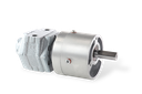 Motor Neumático GAST 1UP-NRV-11-GR11