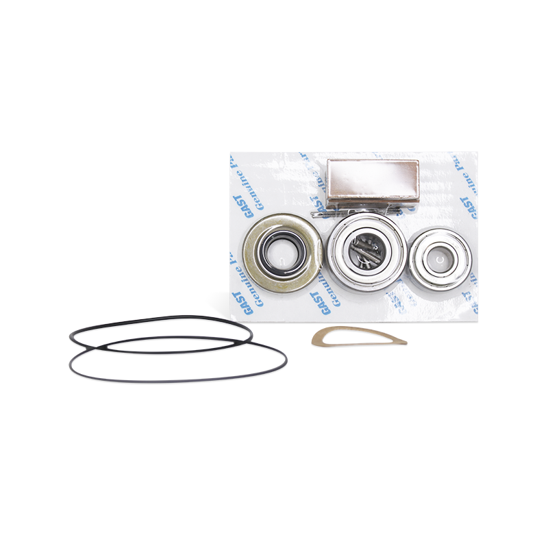 [K206D] Kit de Reparación para Motor Neumático 4AM GAST K206D