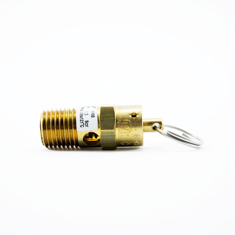 [AS100E] Válvula de Alivio 1/4" NPT GAST AS100E